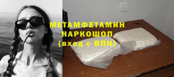 гидра Ельня