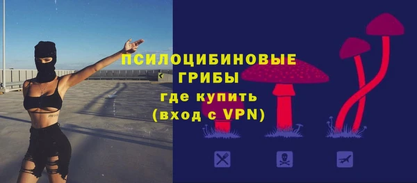 прущая мука Армянск