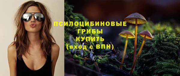 прущие крисы Аркадак