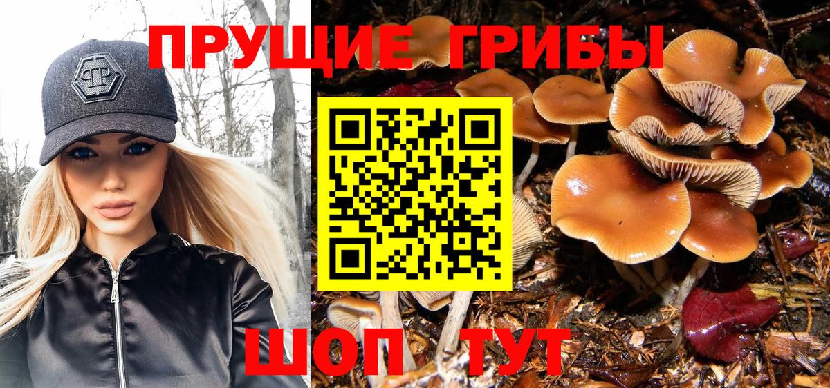 Ступино  Галлюциногенные грибы ЛСД  Вход с VPN  Псилоцибиновые грибы Psilocybe 